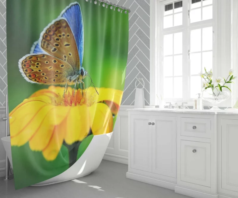 Butterfly Macro Elegance Floral Beauty Shower Curtain 1