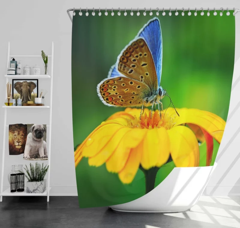 Butterfly Macro Elegance Floral Beauty Shower Curtain