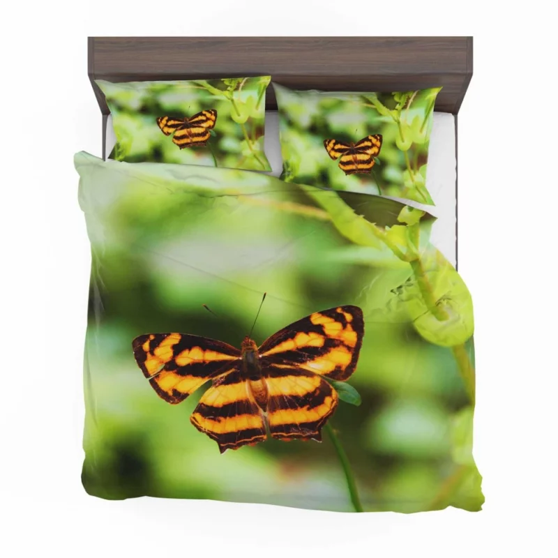 Butterfly of Fantasy Ethereal Elegance Bedding Set 1