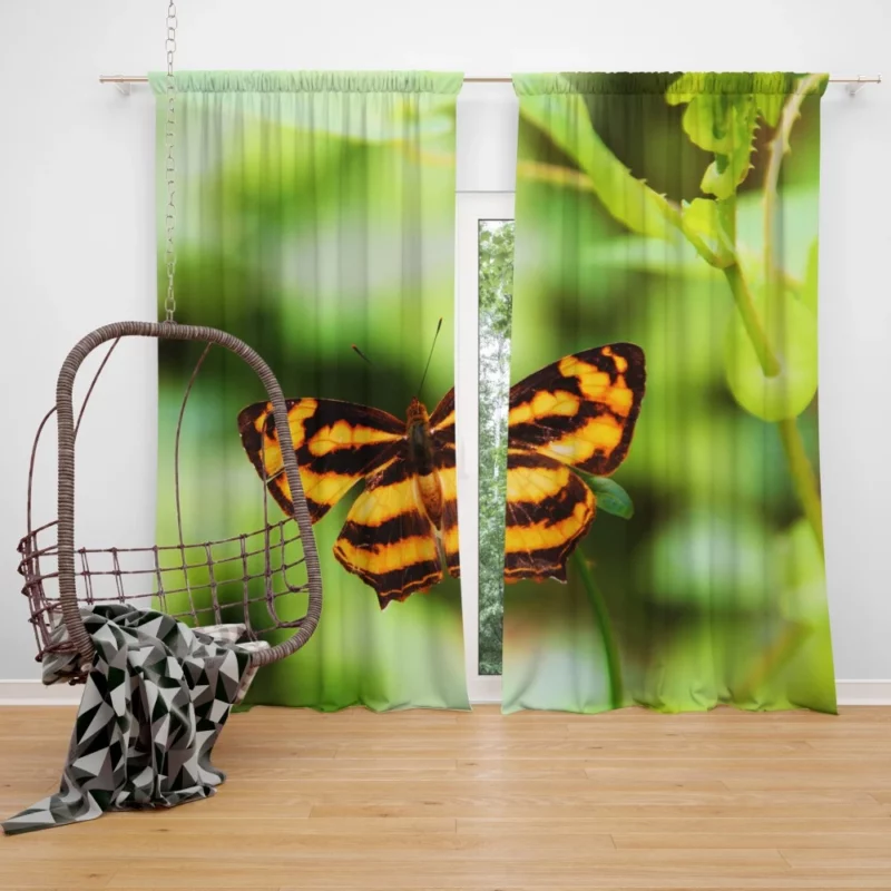 Butterfly of Fantasy Ethereal Elegance Curtain