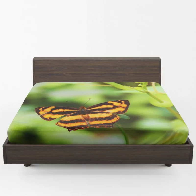 Butterfly of Fantasy Ethereal Elegance Fitted Sheet