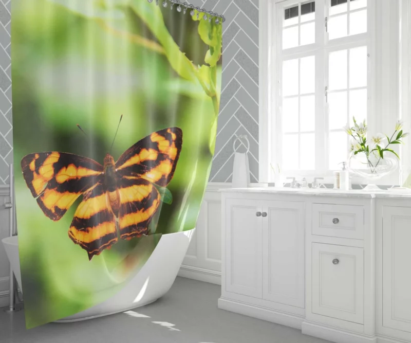 Butterfly of Fantasy Ethereal Elegance Shower Curtain 1