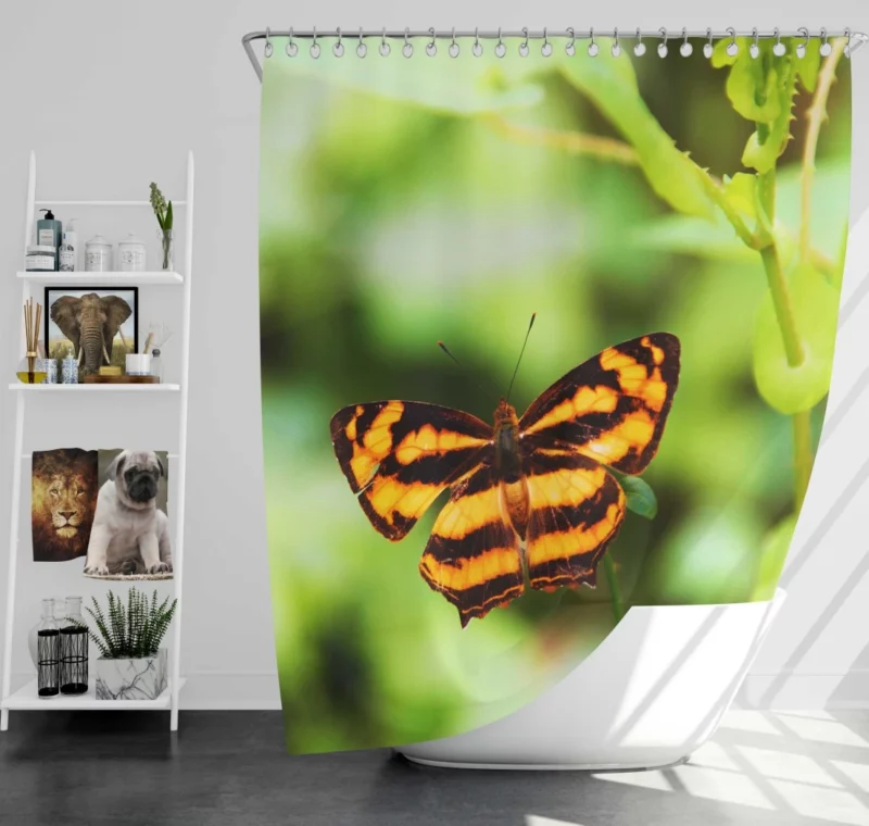 Butterfly of Fantasy Ethereal Elegance Shower Curtain