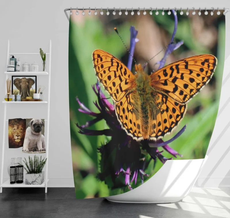 Butterfly on Blossom Delicate Elegance Shower Curtain