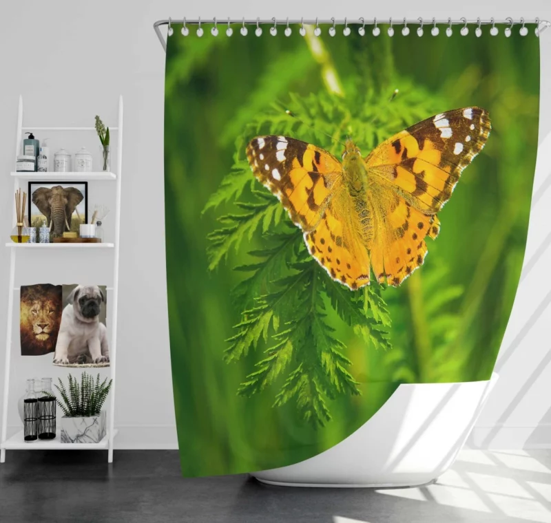 Butterfly on Green Leaf Natural Beauty Shower Curtain