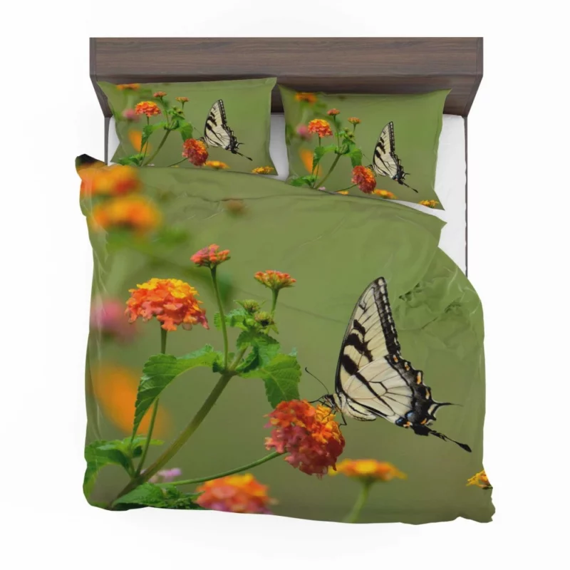 Butterfly on Orange Bloom Vivid Beauty Bedding Set 1