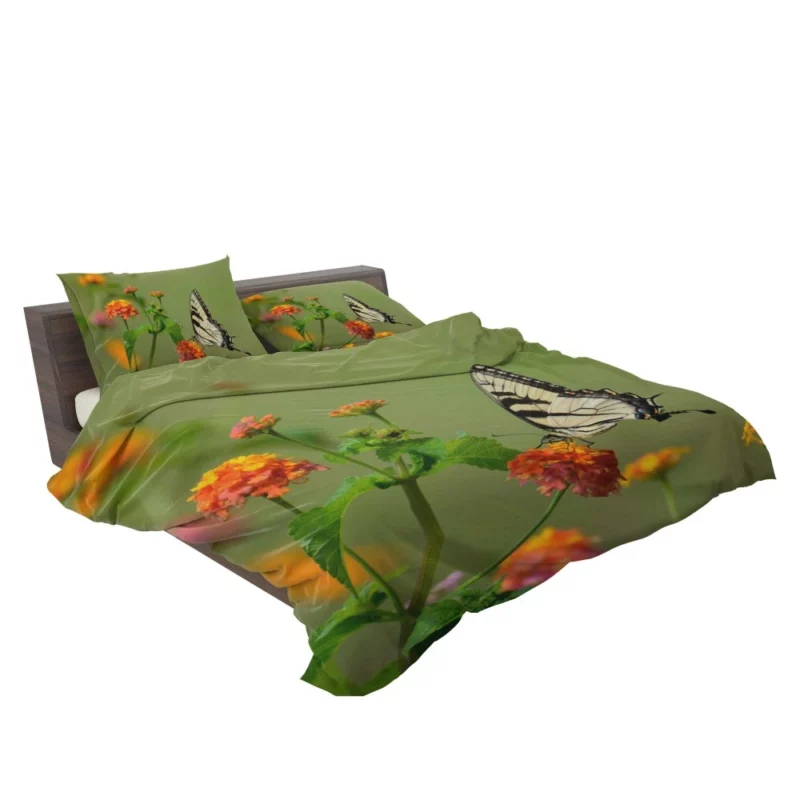 Butterfly on Orange Bloom Vivid Beauty Bedding Set 2