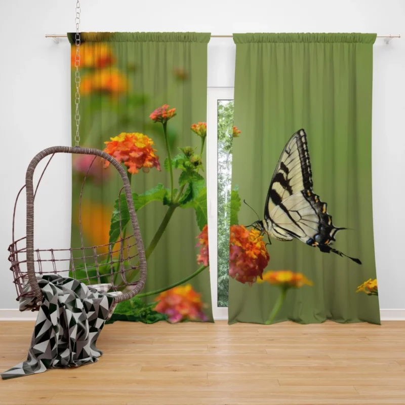 Butterfly on Orange Bloom Vivid Beauty Curtain