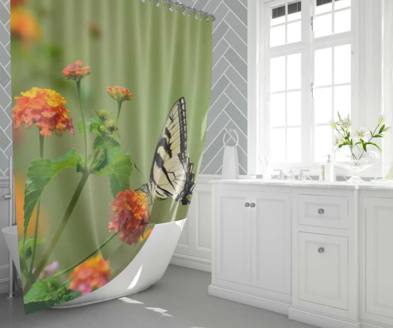 Butterfly on Orange Bloom Vivid Beauty Shower Curtain 1