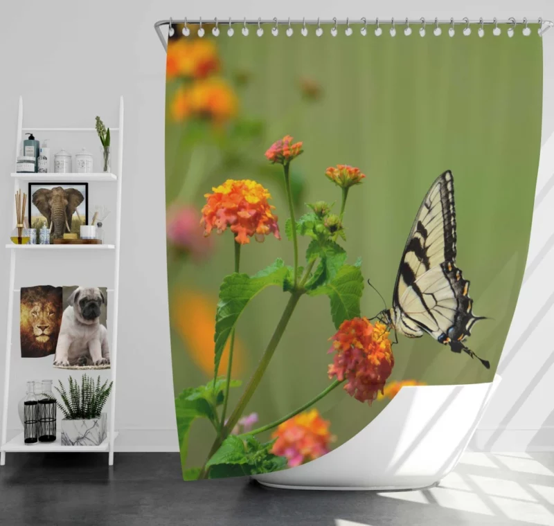 Butterfly on Orange Bloom Vivid Beauty Shower Curtain