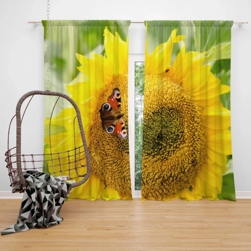 Butterfly on Sunflower Nature Delight Curtain