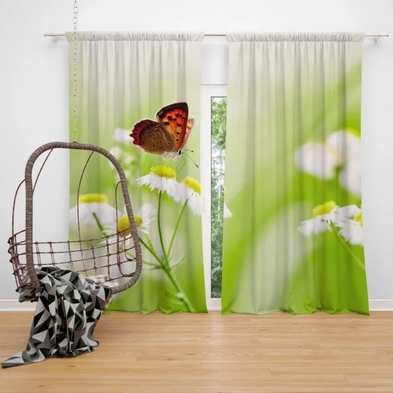 Butterfly on White Flower Delicate Elegance Curtain