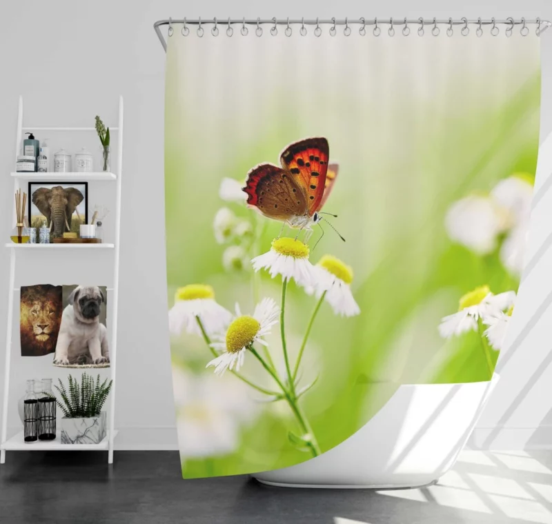 Butterfly on White Flower Delicate Elegance Shower Curtain