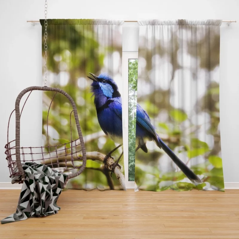 Cafe Poet Bird Enigmatic Aura Winged Inspiration Curtain