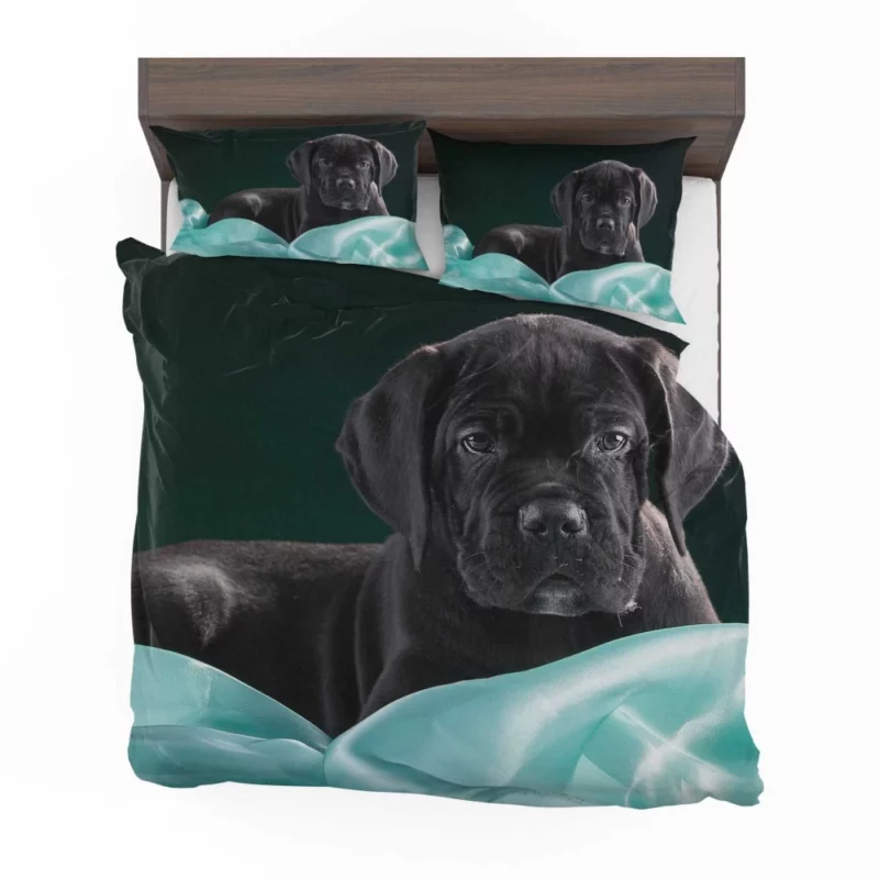 Cane Corso Baby Innocence Furry Wonder Bedding Set 1