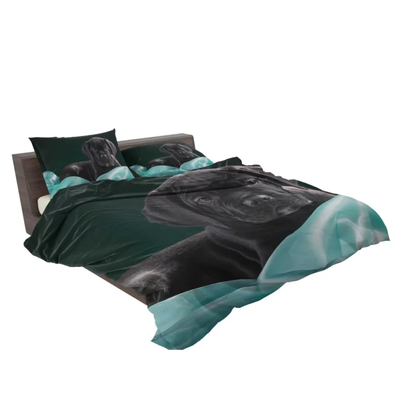 Cane Corso Baby Innocence Furry Wonder Bedding Set 2