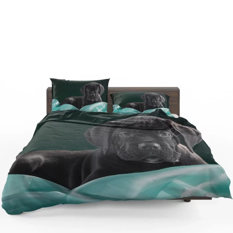 Cane Corso Baby Innocence Furry Wonder Bedding Set