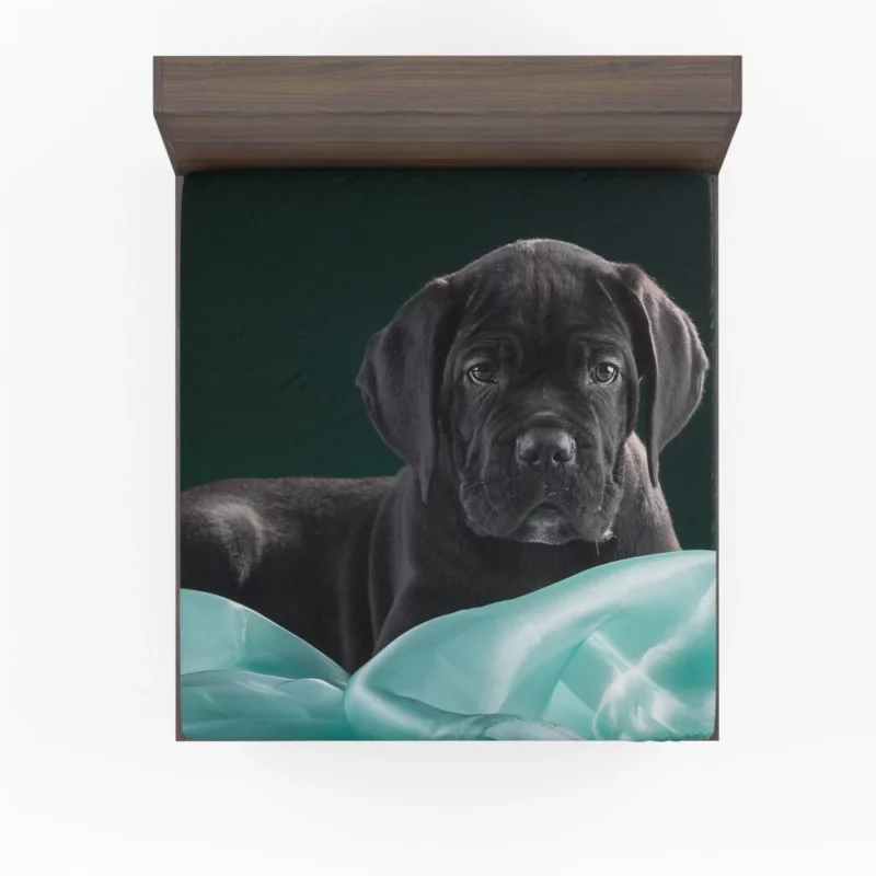 Cane Corso Baby Innocence Furry Wonder Fitted Sheet 1