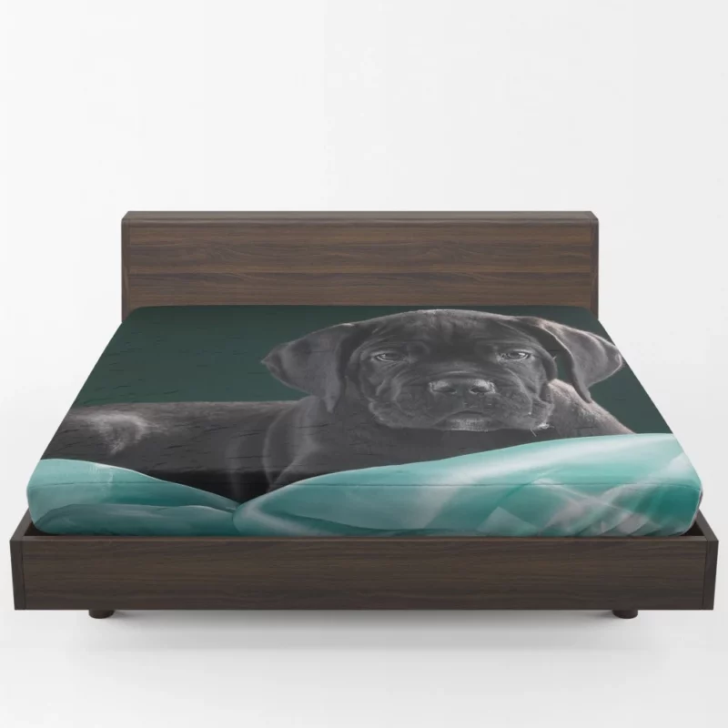 Cane Corso Baby Innocence Furry Wonder Fitted Sheet