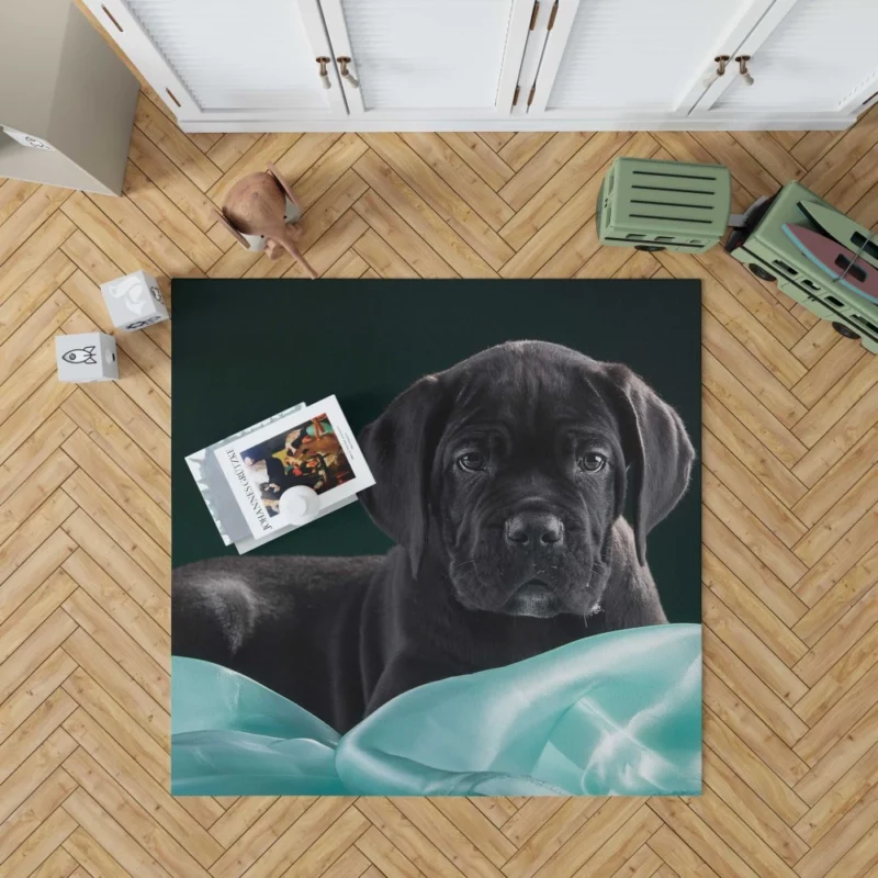 Cane Corso Baby Innocence Furry Wonder Rug