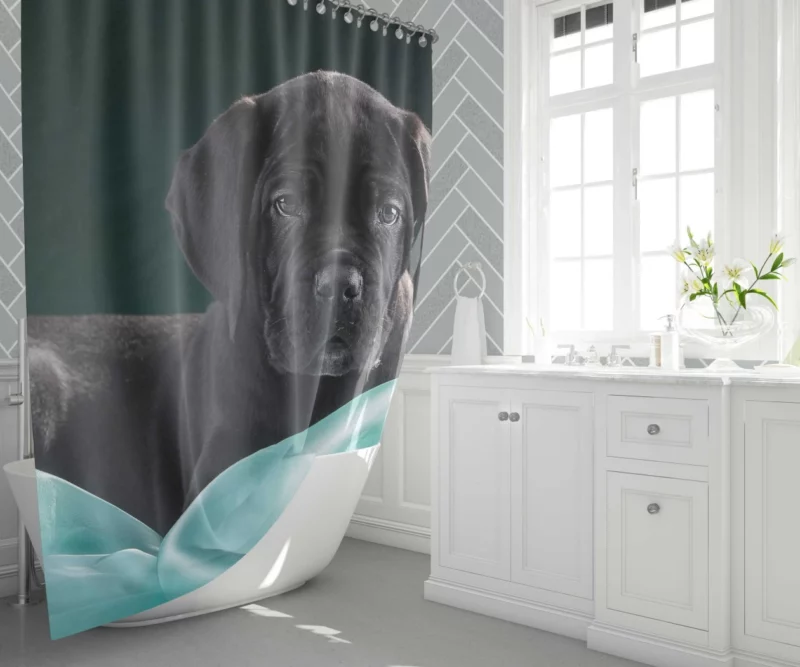 Cane Corso Baby Innocence Furry Wonder Shower Curtain 1