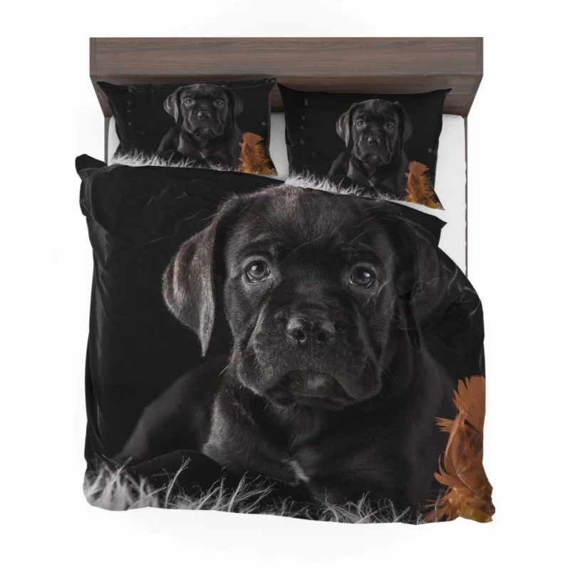 Cane Corso Baby Wonder Furry Innocence Bedding Set 1