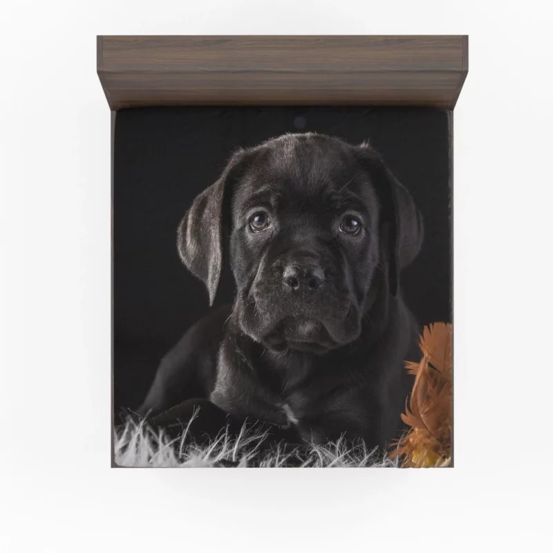 Cane Corso Baby Wonder Furry Innocence Fitted Sheet 1