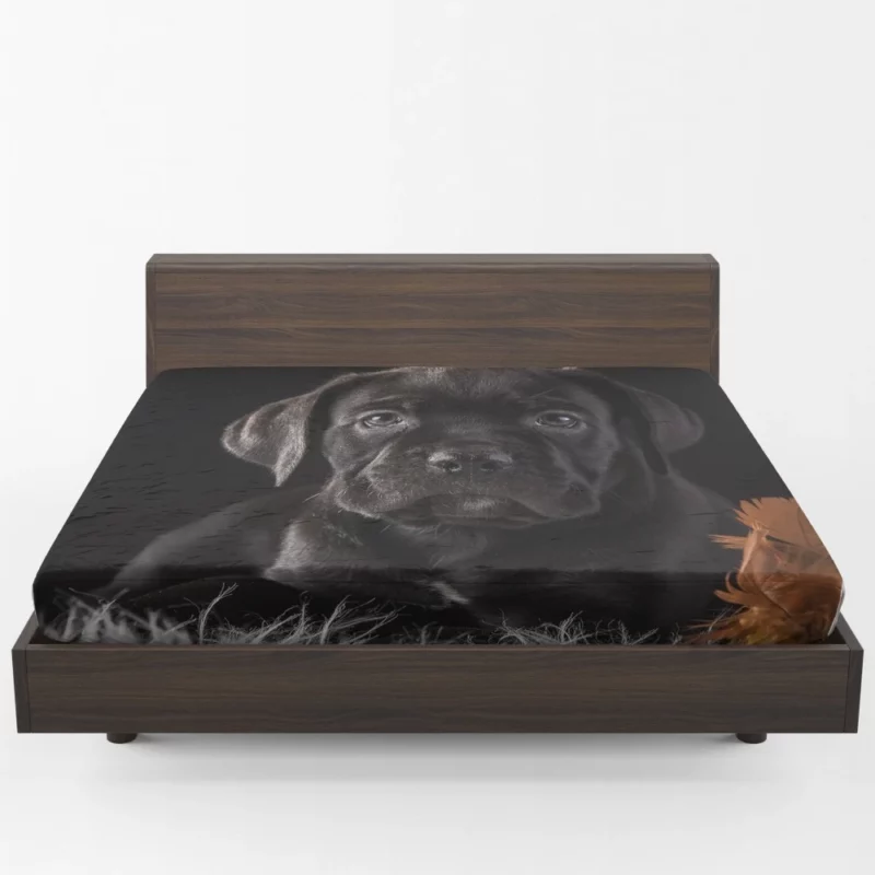 Cane Corso Baby Wonder Furry Innocence Fitted Sheet