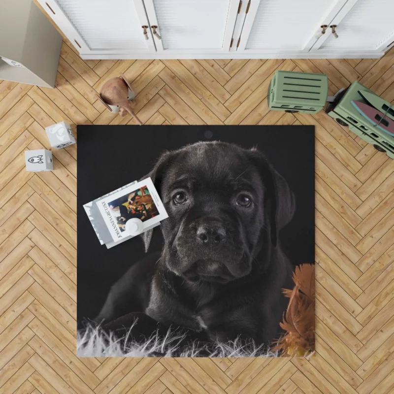 Cane Corso Baby Wonder Furry Innocence Rug