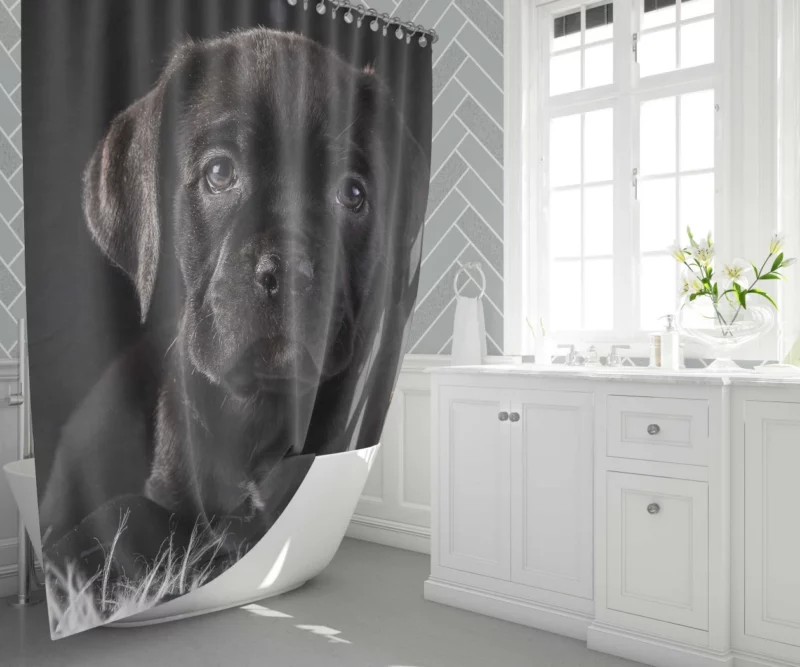 Cane Corso Baby Wonder Furry Innocence Shower Curtain 1