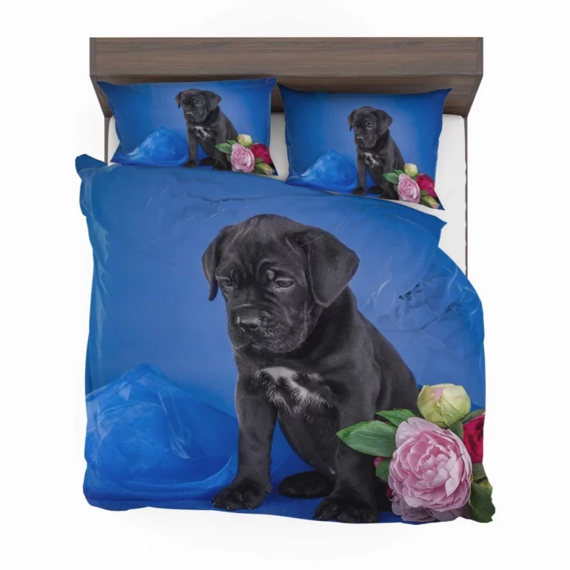 Cane Corso Puppy Baby Elegance Bedding Set 1