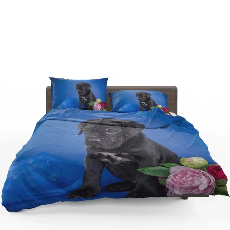 Cane Corso Puppy Baby Elegance Bedding Set