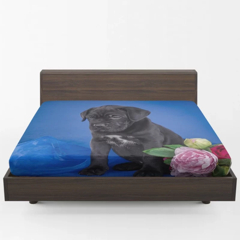 Cane Corso Puppy Baby Elegance Fitted Sheet