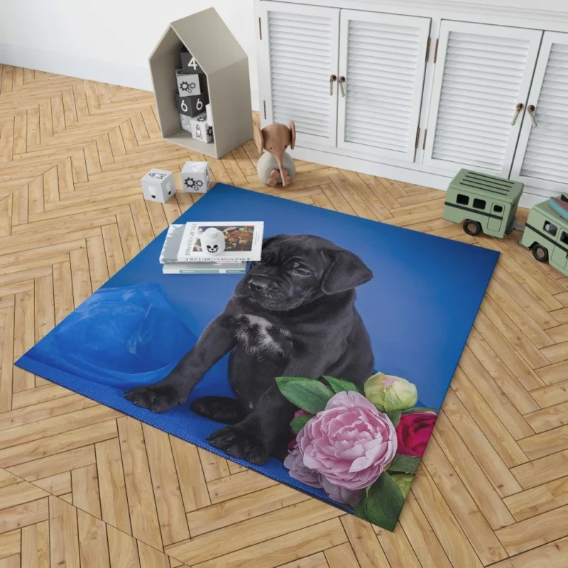 Cane Corso Puppy Baby Elegance Rug 1