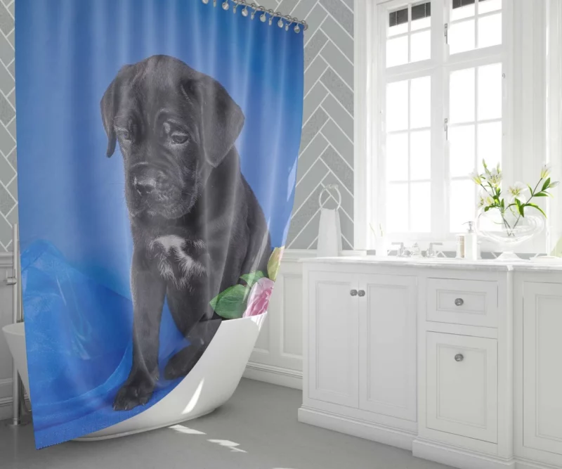 Cane Corso Puppy Baby Elegance Shower Curtain 1