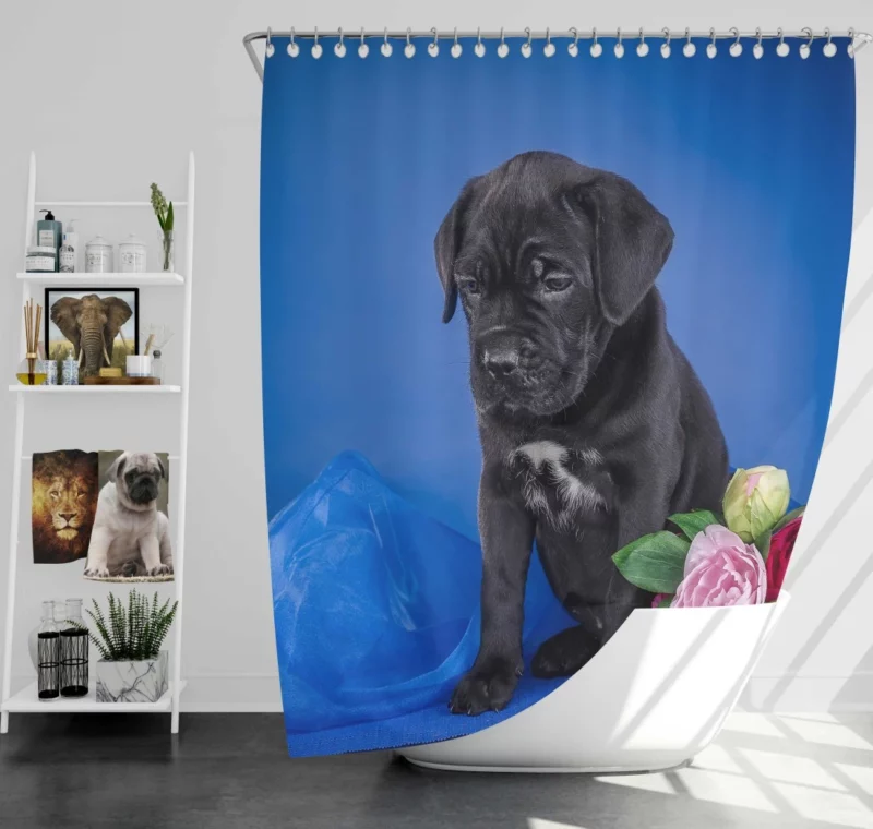 Cane Corso Puppy Baby Elegance Shower Curtain