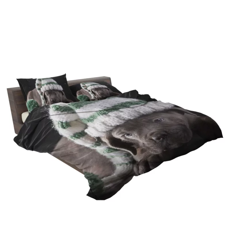 Cane Corso Puppy Charm Furry Innocence Bedding Set 2