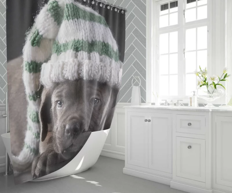 Cane Corso Puppy Charm Furry Innocence Shower Curtain 1