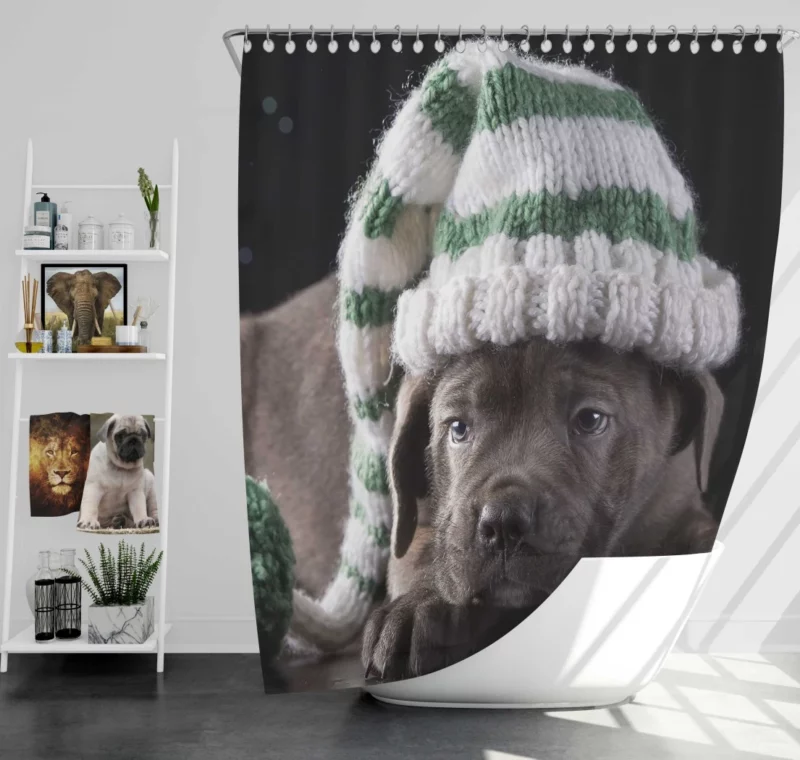 Cane Corso Puppy Charm Furry Innocence Shower Curtain