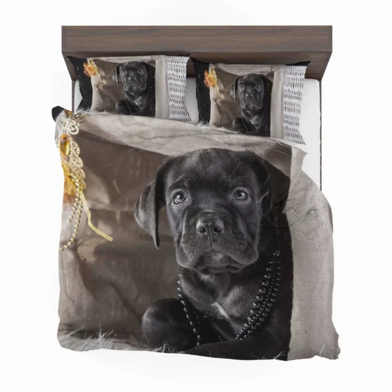 Cane Corso Puppy Innocence Canine Charm Bedding Set 1