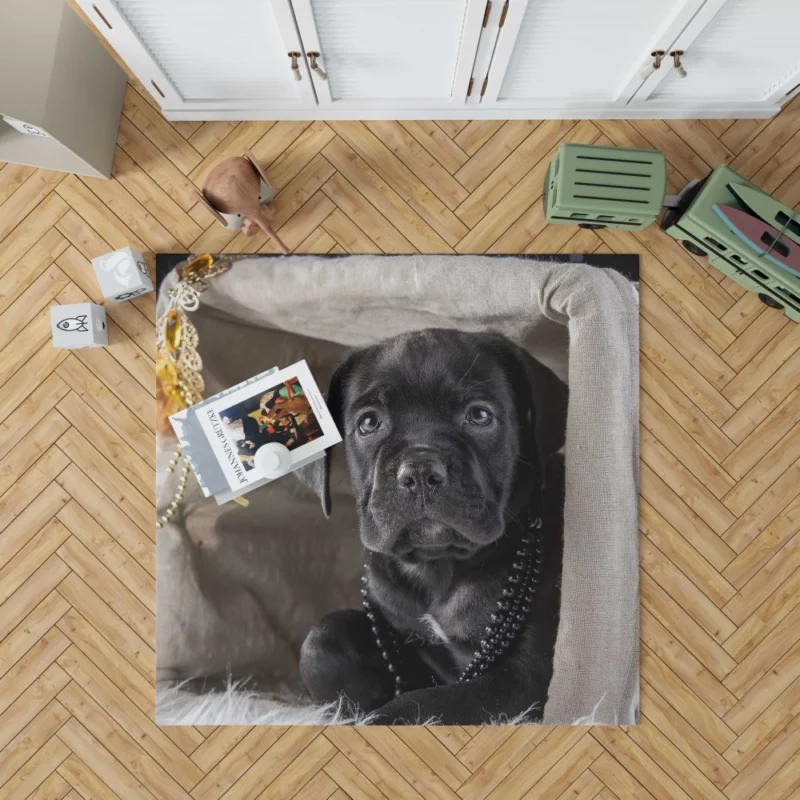 Cane Corso Puppy Innocence Canine Charm Rug