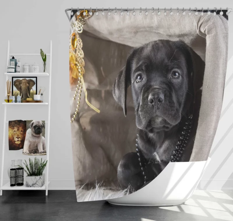 Cane Corso Puppy Innocence Canine Charm Shower Curtain