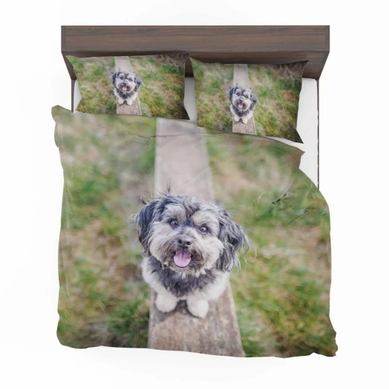 Canine Companion Furry Charisma Beloved Friend Bedding Set 1