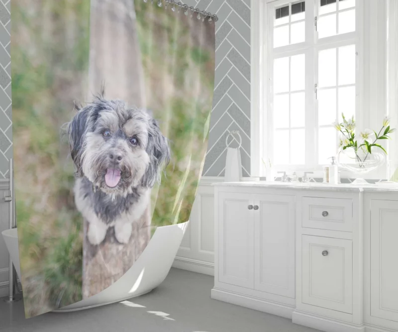 Canine Companion Furry Charisma Beloved Friend Shower Curtain 1