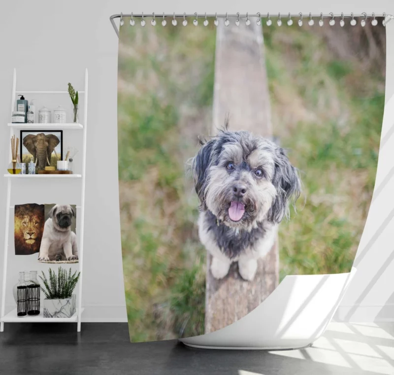 Canine Companion Furry Charisma Beloved Friend Shower Curtain