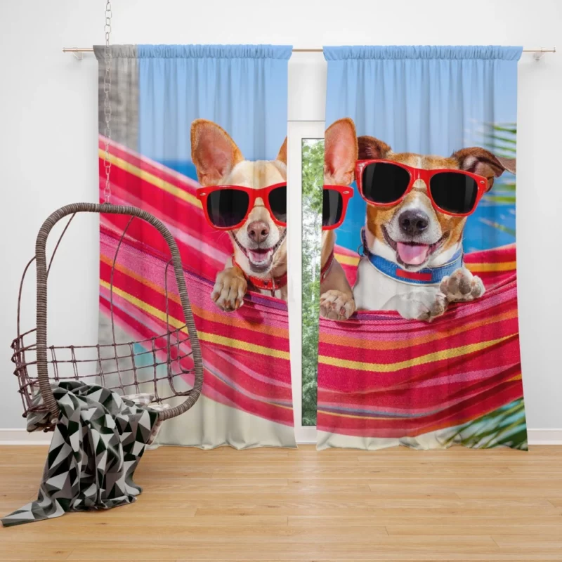 Canine Companions Hammock Relaxation Curtain