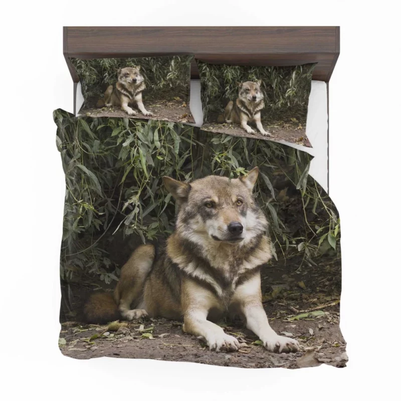 Canis Lupus Wolf Wilderness Spirit Bedding Set 1