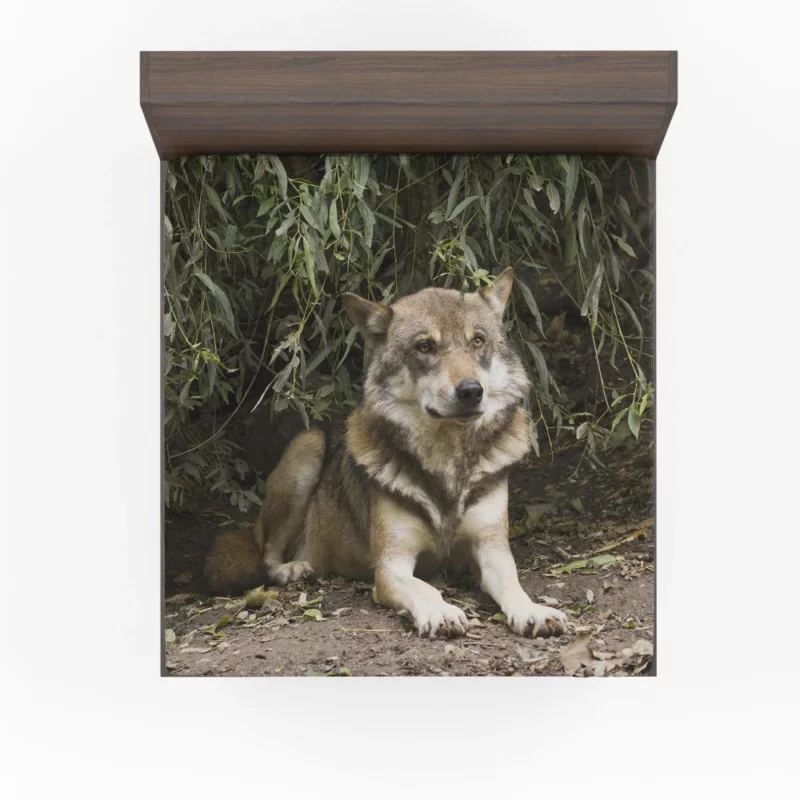 Canis Lupus Wolf Wilderness Spirit Fitted Sheet 1