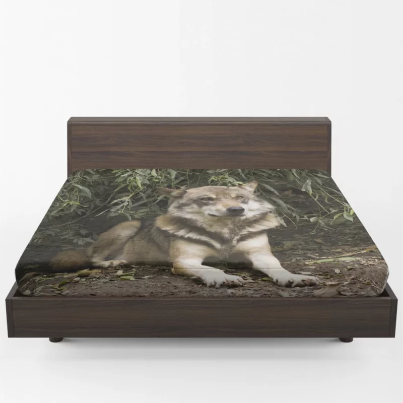 Canis Lupus Wolf Wilderness Spirit Fitted Sheet