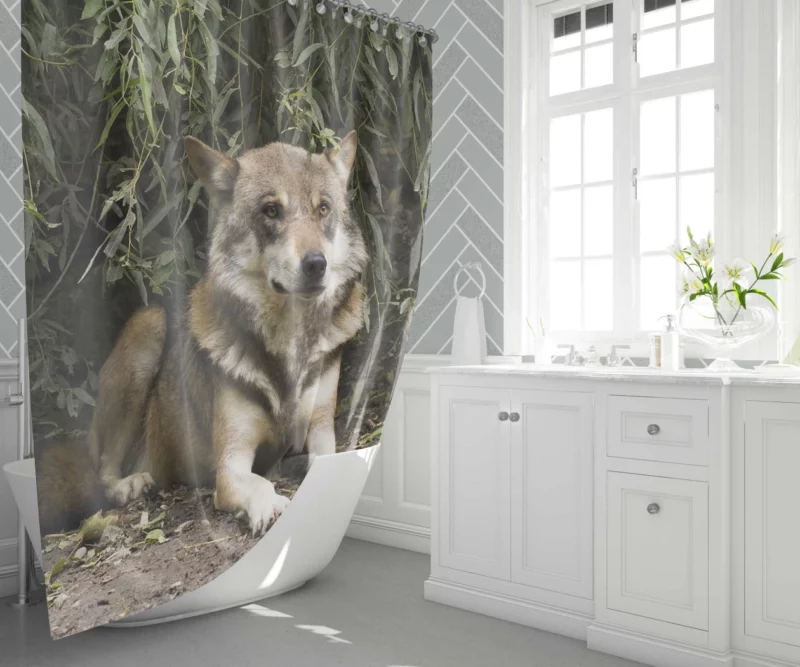 Canis Lupus Wolf Wilderness Spirit Shower Curtain 1